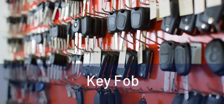  Key Fob 
